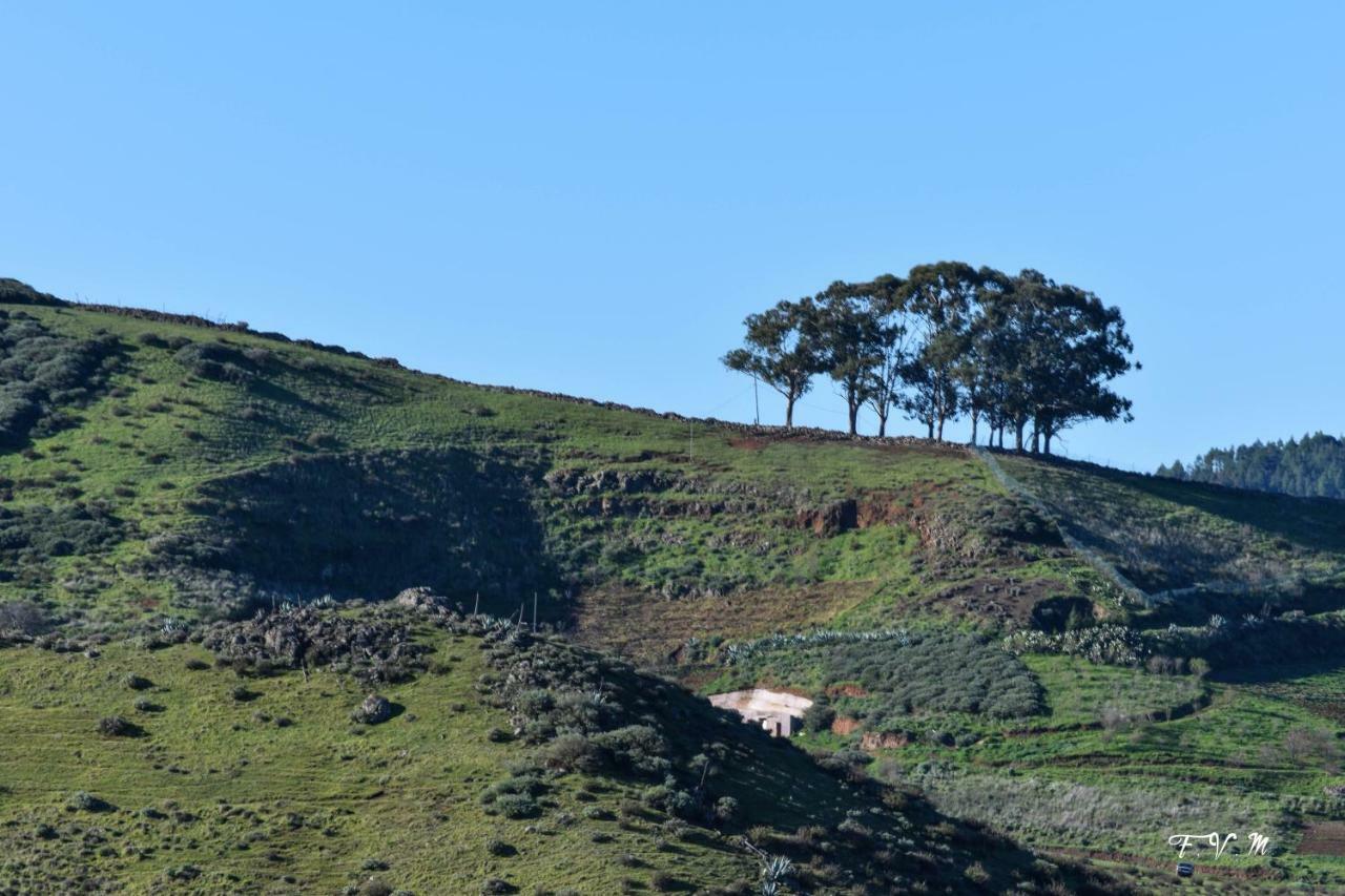 San Pedro  Casa Rural Zalemy מראה חיצוני תמונה